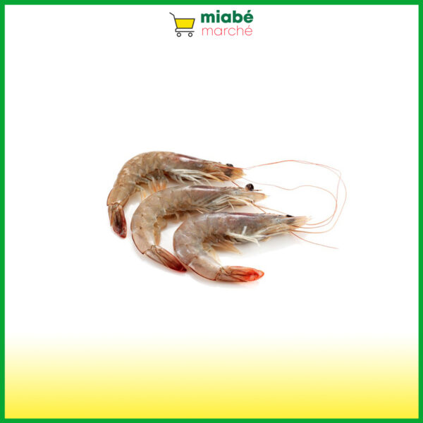 Crevette Gambas