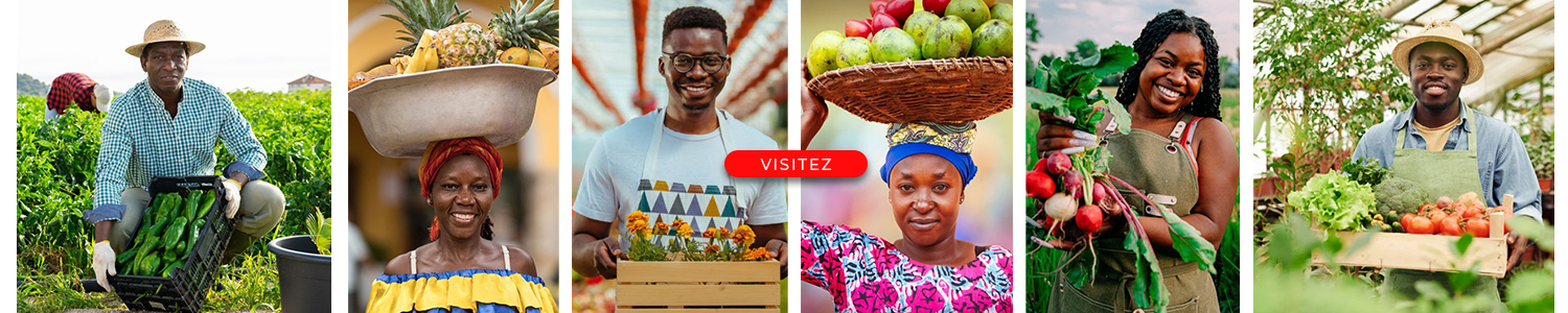 miabé-marché-banniere-acceuil